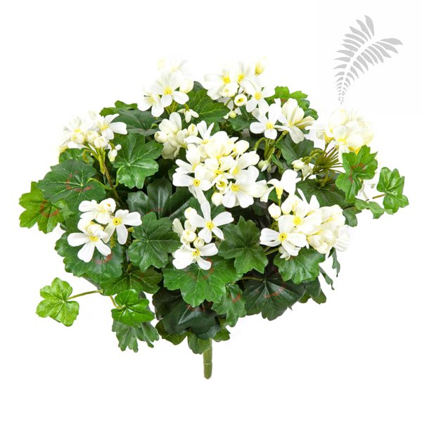 GERANIUM CASCADE BUSH 1150CR