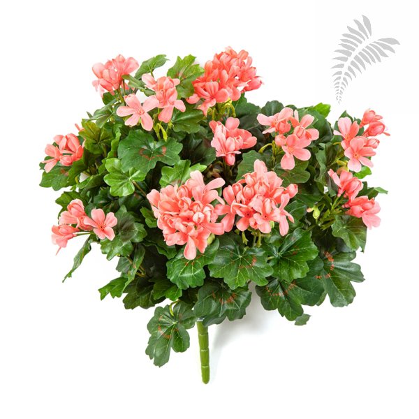 GERANIUM CASCADE BUSH 1150P