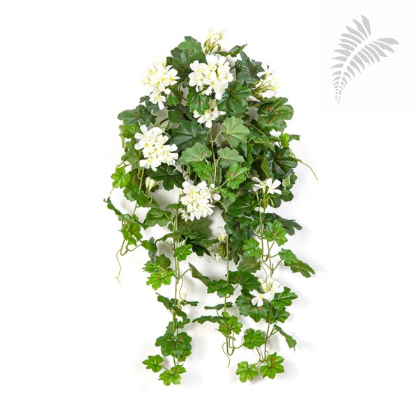 GERANIUM CASCADE HANGING BUSH 1151CR