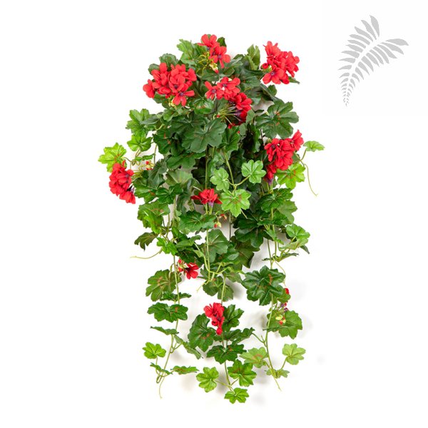 GERANIUM CASCADE HANGING BUSH 1151R