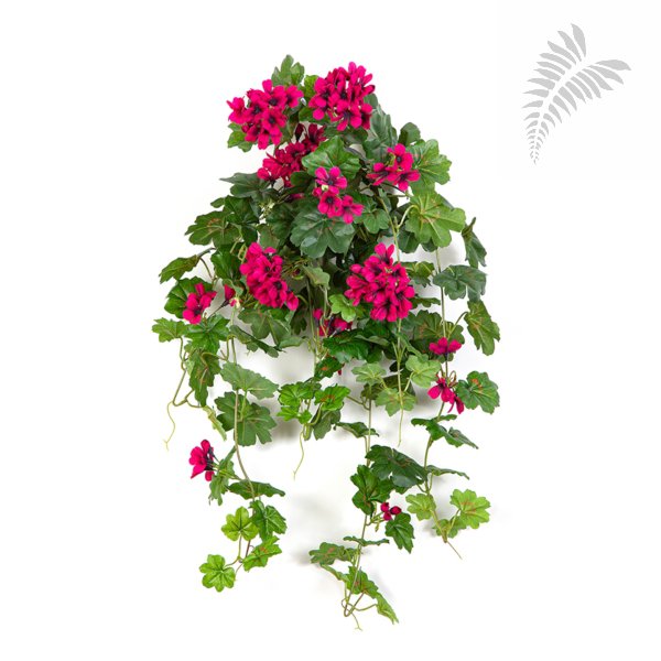 GERANIUM CASCADE HANGING BUSH 1151V