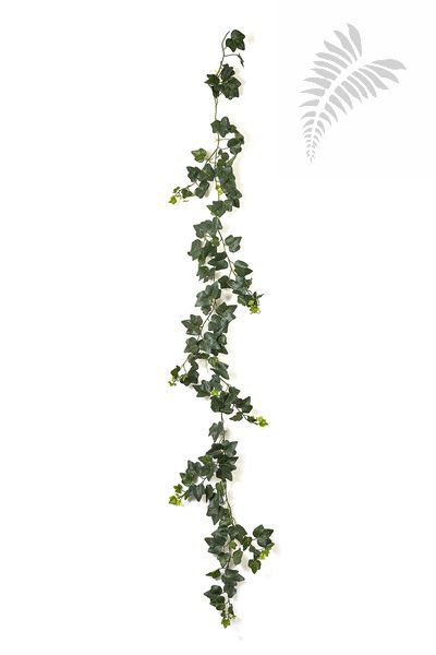 IVY GARLAND X 148 - UV 1165N-UV