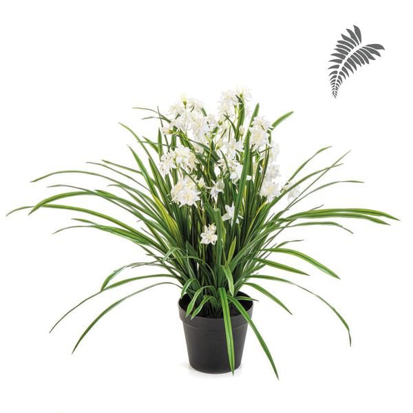 Wild Orchid White w/pot 85cm 1175W