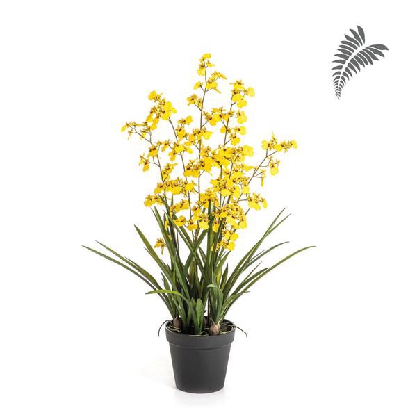 Oncidium Orchid Yellow 100cm 1181Y