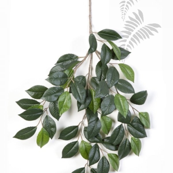 CAMELIA SPRAY X 3 1224N