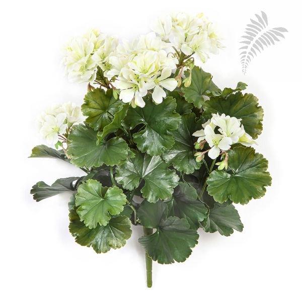 GERANIUM BUSH CREAM - UV 1250CR-UV