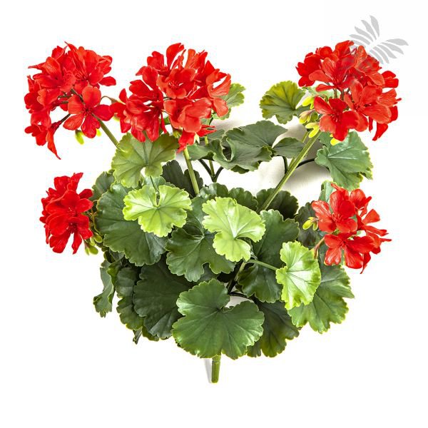 GERANIUM BUSH RED - UV 1250R-UV