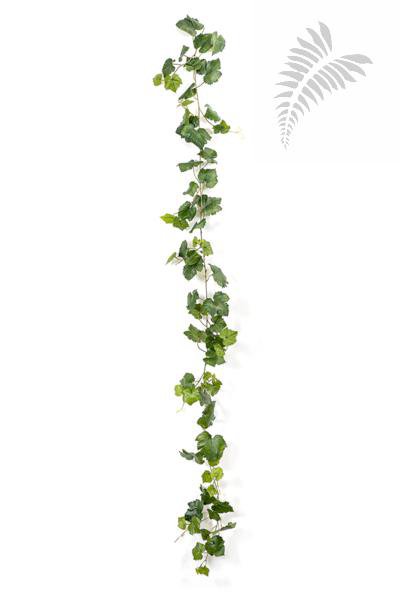 GRAPE IVY VINE GREEN 230 CM 1290N