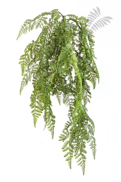 WOOD FERN HANGING BUSH 1303N