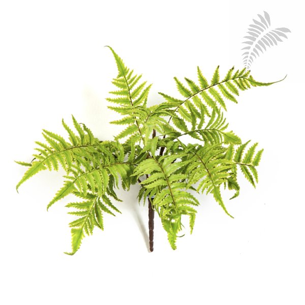 CINNAMON FERN 1304N