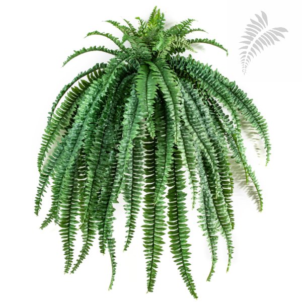MEDIUM HANGING FERN X 52 LVS 1326N