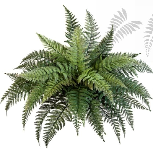 FERN BUSH X 35 - PLASTIC 1327N
