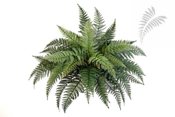 FERN BUSH X 35 - PLASTIC 1327N