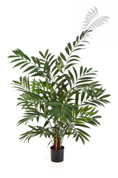 Parlour Palm 110cm X 12 1340N
