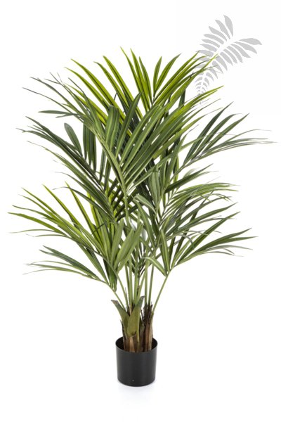 NATURAL KENTIA PALM DE LUXE 1342XL
