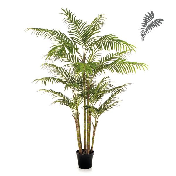 Bamboo Palm 215cm 1370N