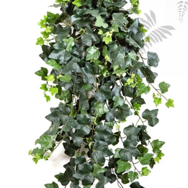 FR IVY HANGING BUSH X 331 LVS 1395FR