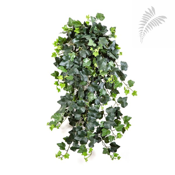 FR IVY HANGING BUSH X 331 LVS 1395FR