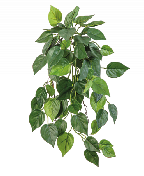 Philo hang Bush -FR 70cm 1398FR