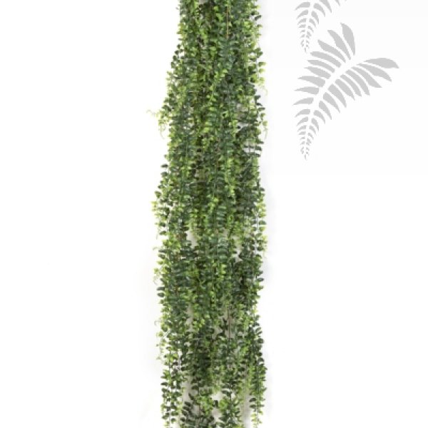 BOSTON FERN HANGING BUSH 140 1400XL