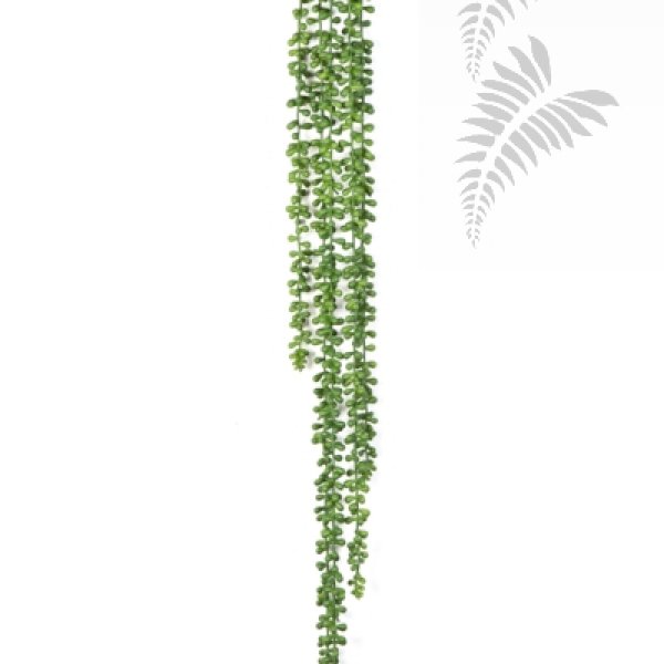 STRING OF PEARLS HANGING BUSH 1424N