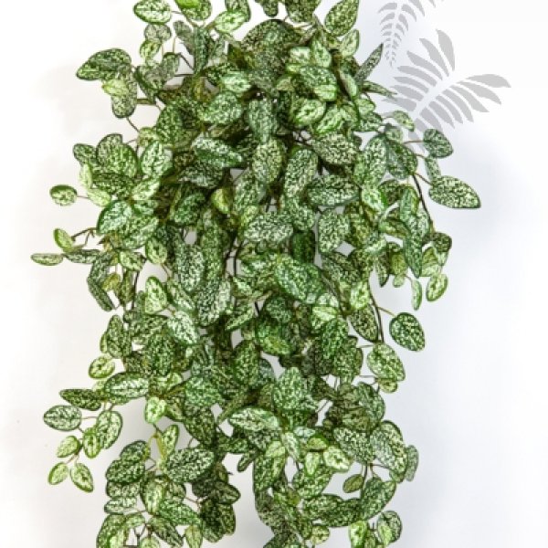 MINI HYPOESTES X 560 1430N