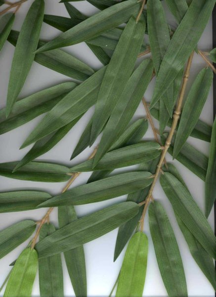 FLAME RET. NEW BAMBOO SPRAY 1484FR