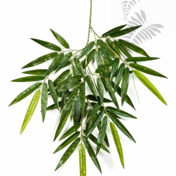 NEW BAMBOO SPRAY 1484N