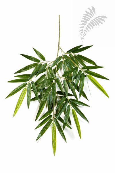 NEW BAMBOO SPRAY 1484N