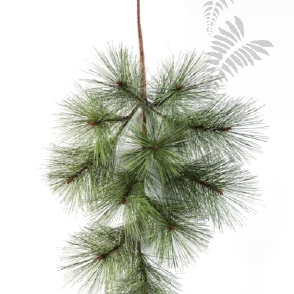 NEEDLE PINE SPRAY X 11 1580N
