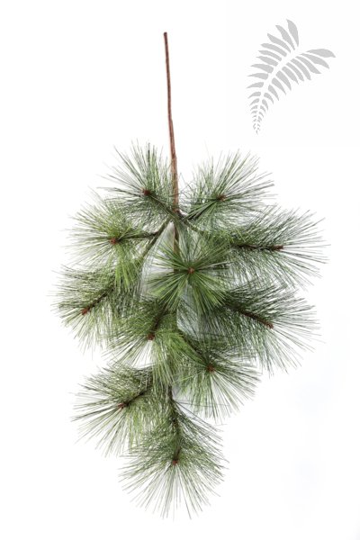 NEEDLE PINE SPRAY X 11 1580N
