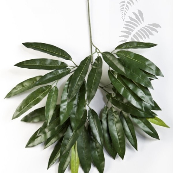 FLAME RETAR. MANGO SPRAY 1589FR