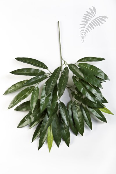 FLAME RETAR. MANGO SPRAY 1589FR