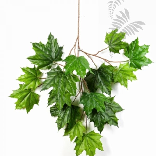 FR NORTH MAPLE SPRAY 1590FR