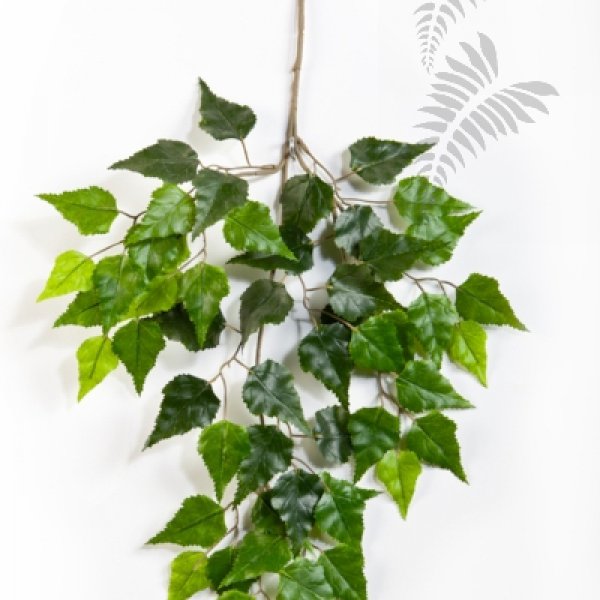 BIRCH SPRAY X 3 1593N