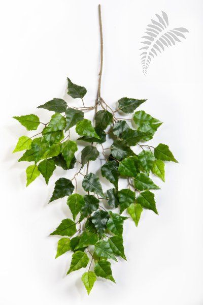 BIRCH SPRAY X 3 1593N