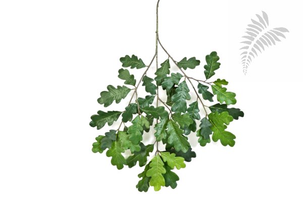 COMMON OAK SPRAY 60cm 1597N