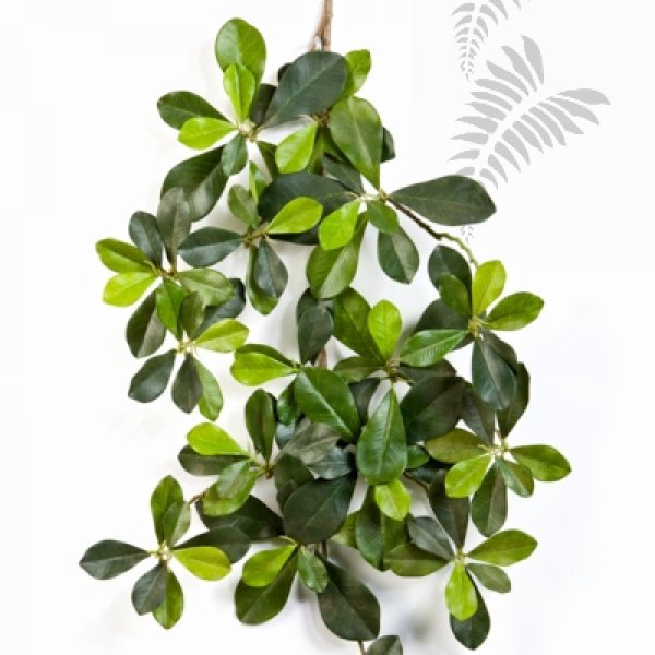 ORIENTAL OLIVE SPRAY 1608N