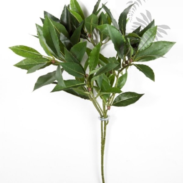 FLAME RET. LAUREL BAY SPRAY 1610FR