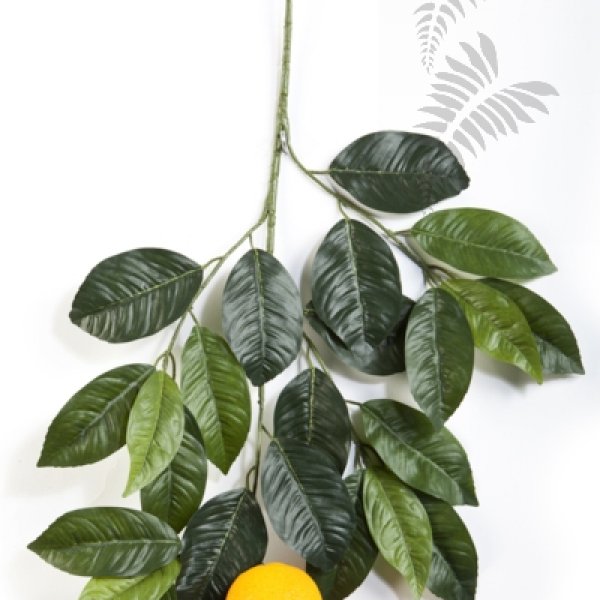 ORANGE SPRAY WITH LARGE FRUIT 1634N