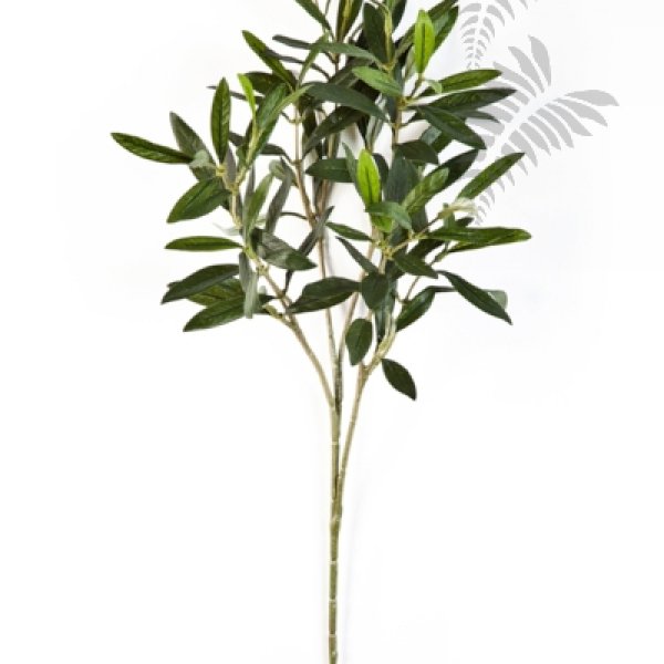 FR NATURAL OLIVE SPRAY 1650FR