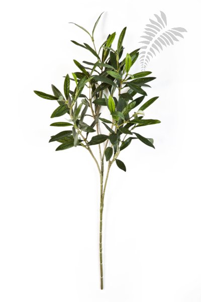 FR NATURAL OLIVE SPRAY 1650FR