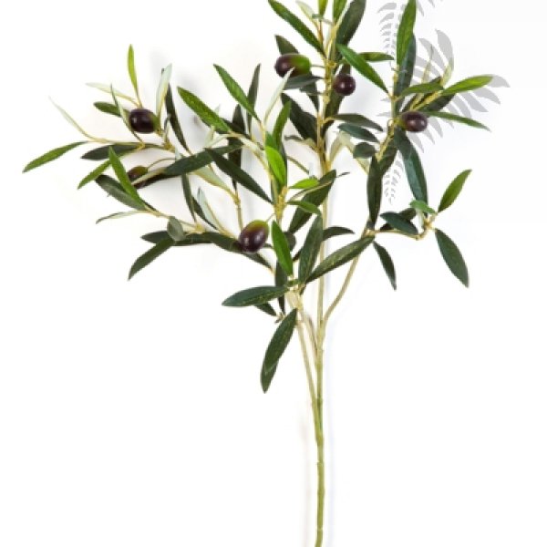 NATURAL OLIVE SPRAY W/FRUITS 1650NF