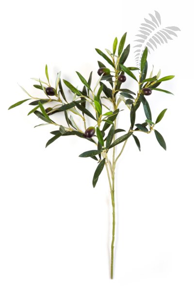 NATURAL OLIVE SPRAY W/FRUITS 1650NF