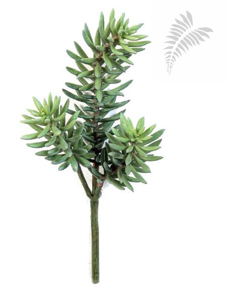 Sedum Cluster Plant x 3 38cm 1672N