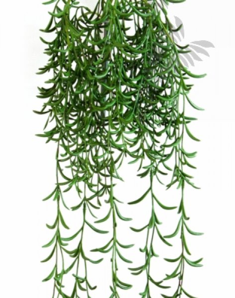SUCCULENT HANGING BUSH 45cm 1674N