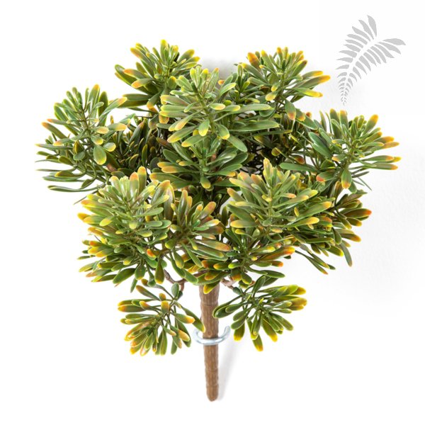 Dusty Miller Bush X 7 Gre/Re 18cm 1690GNR