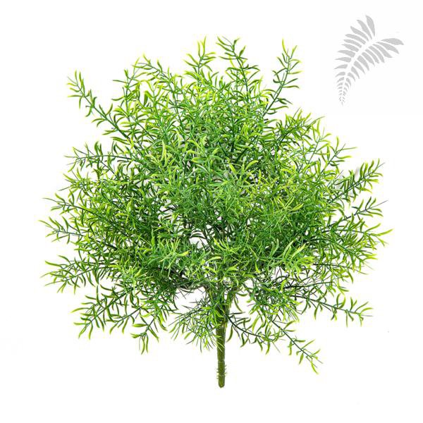 ASPARAGUS BUSH UV 1697UV