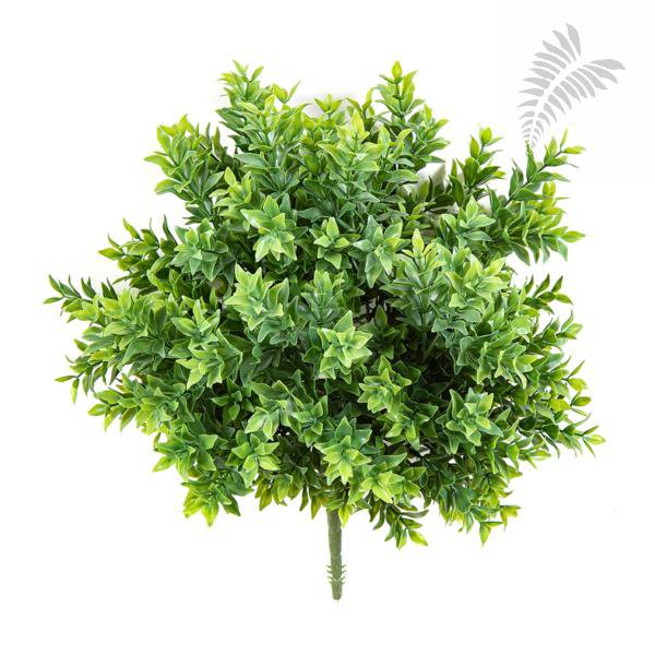 TEA LEAF BUSH UV 1698UV