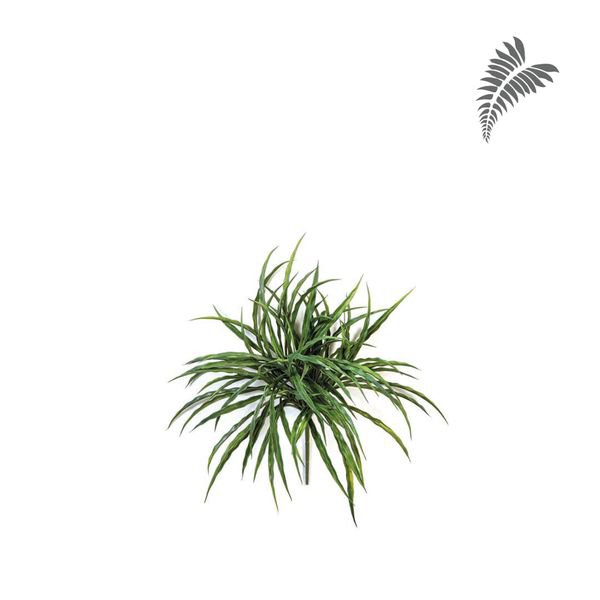 Woodrush Grass Bunch -UV 36cm 1716UV